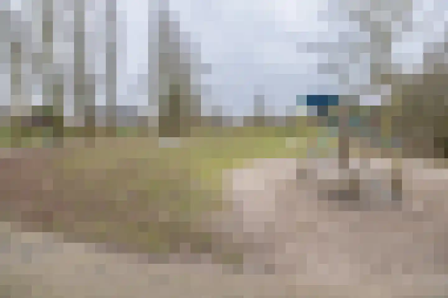 Meerkoet 27 Driebergen-Rijsenburg thumbnail 43
