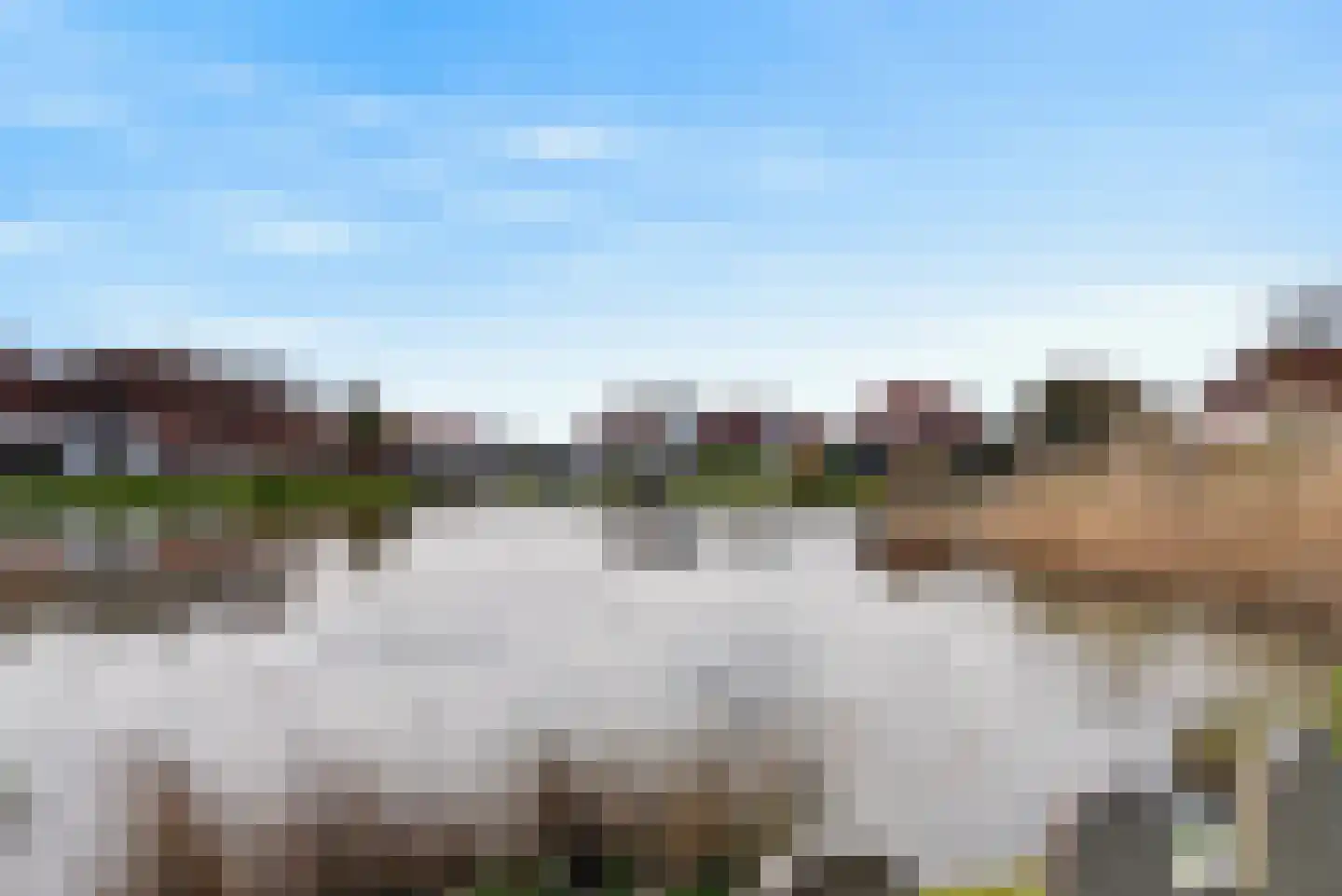Meerkoet 28 Lathum thumbnail 25