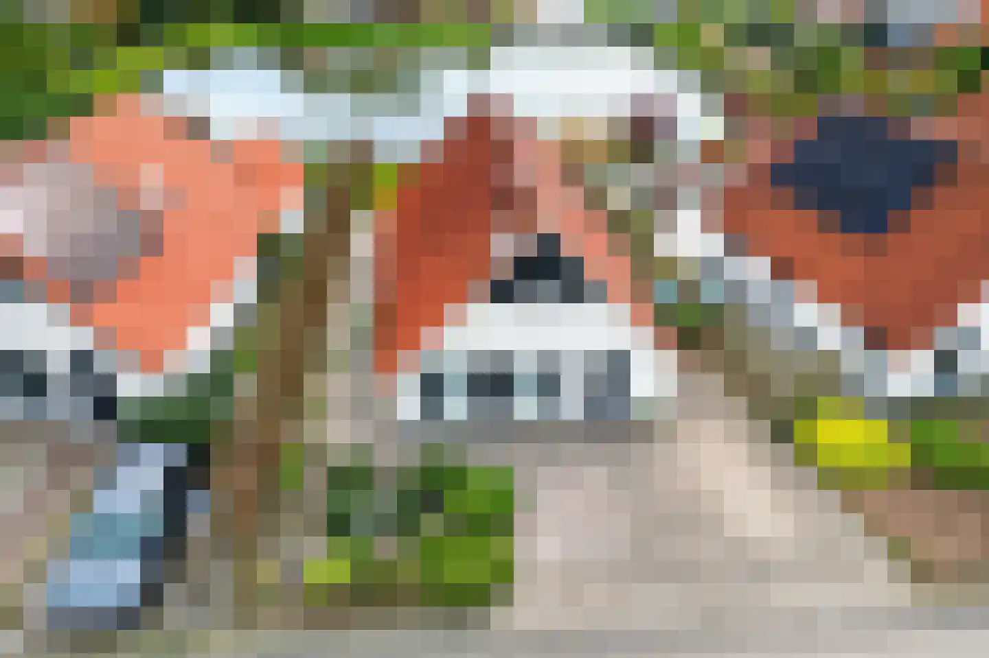 Meerkoet 28 Lathum thumbnail 27