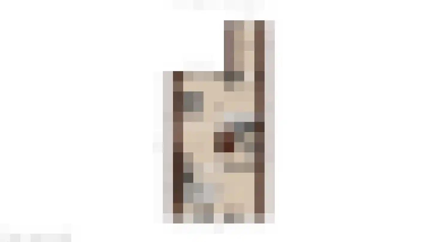 Meerkoet 28 Lathum thumbnail 31