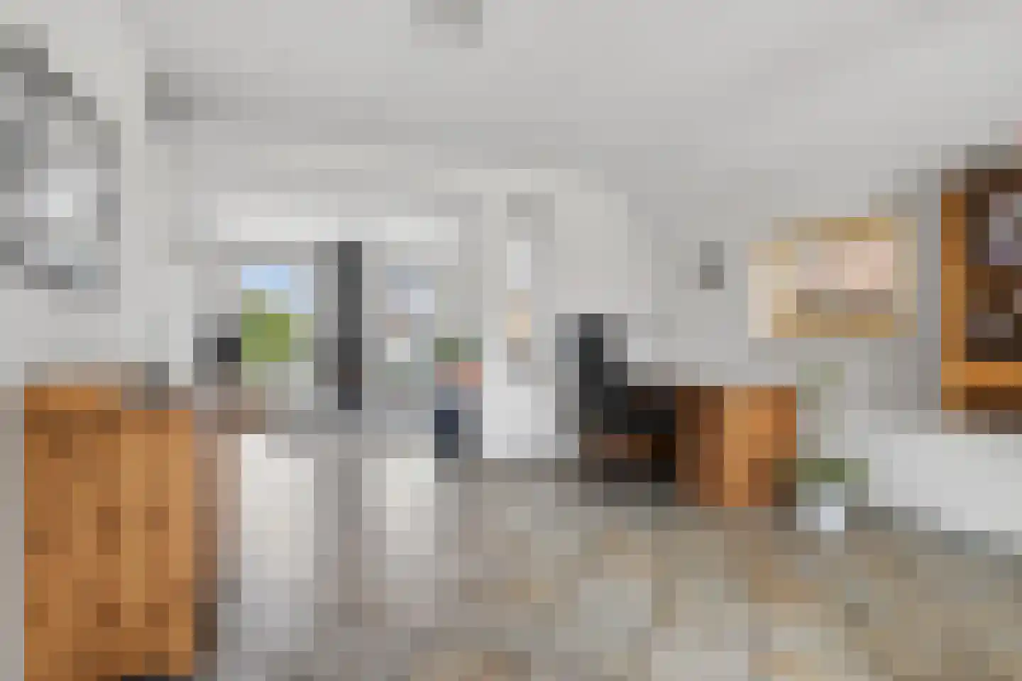 Meerkoet 28 Lathum thumbnail 8