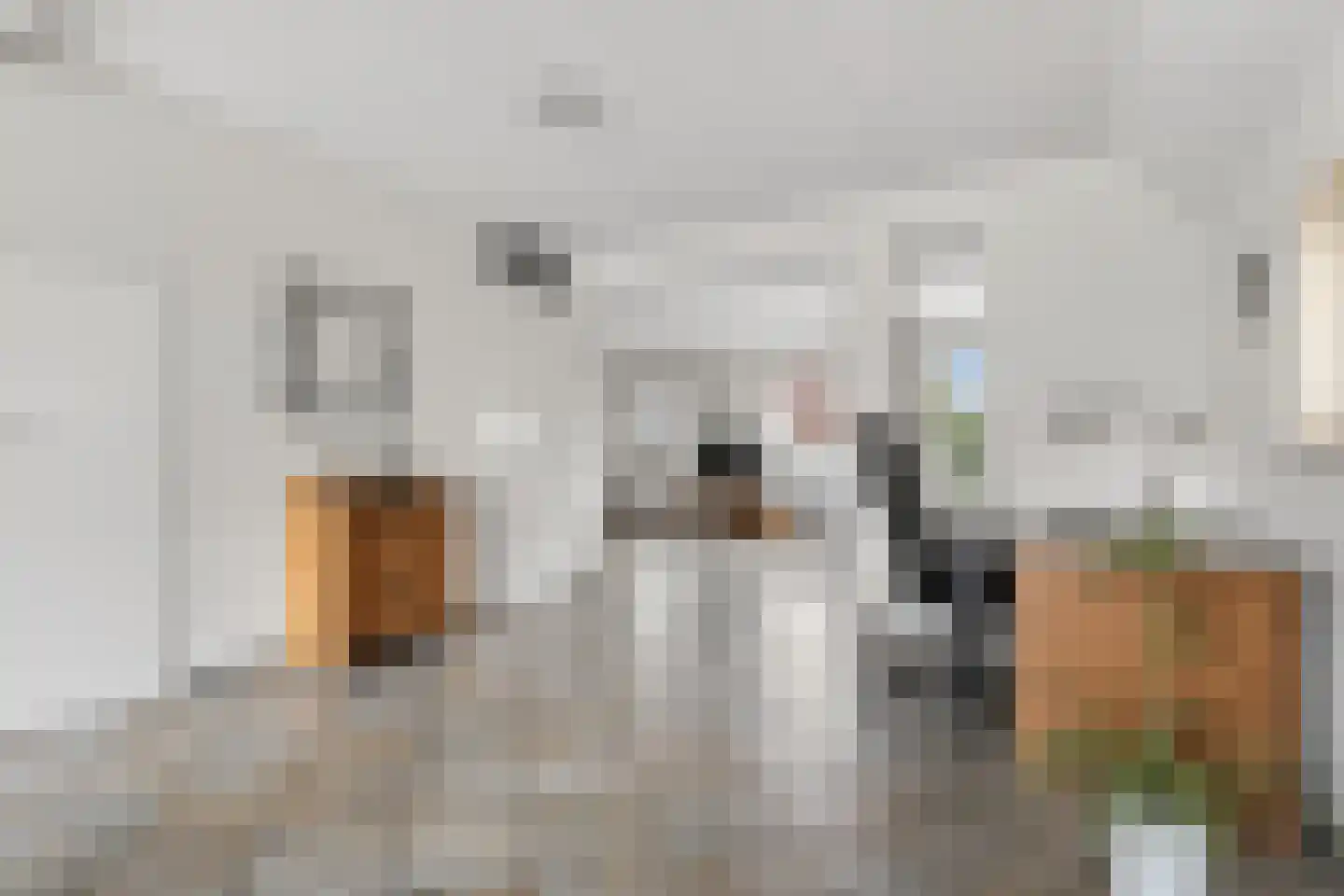 Meerkoet 28 Lathum thumbnail 9
