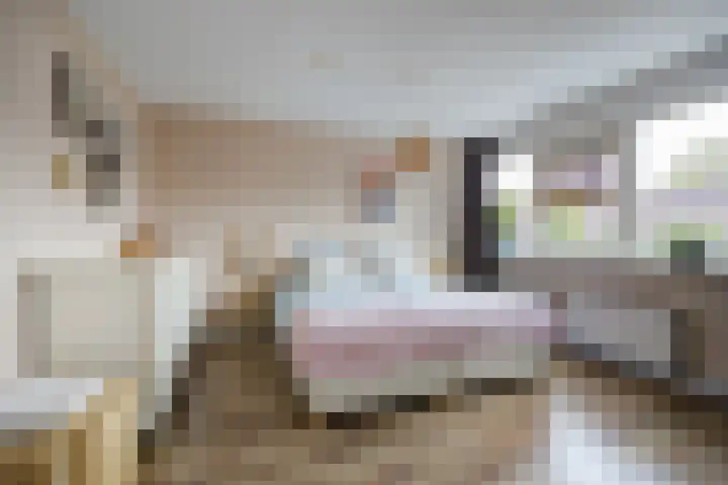 Meerkoet 29 Etten-Leur thumbnail 20