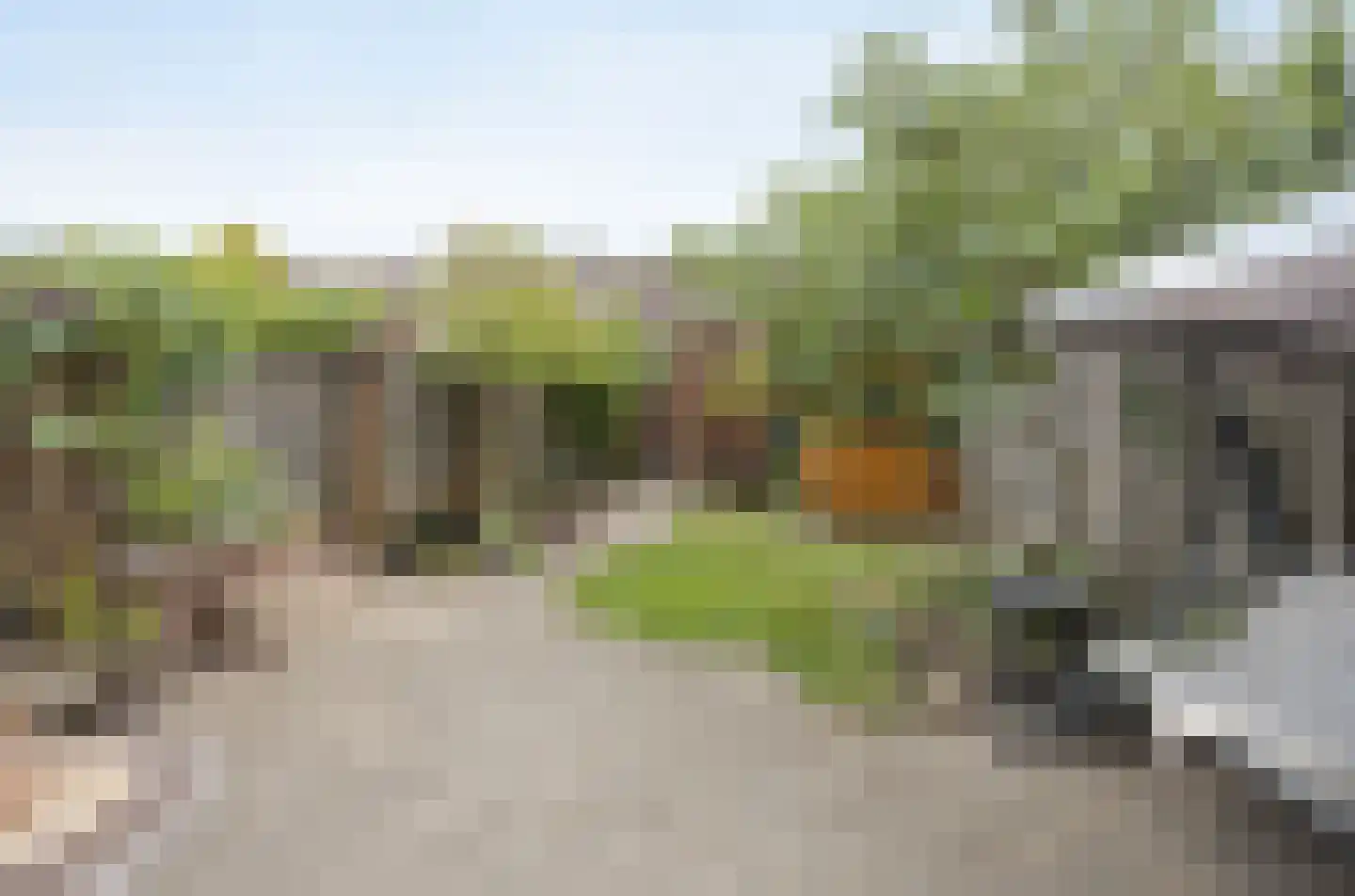 Meerkoet 29 Etten-Leur thumbnail 34
