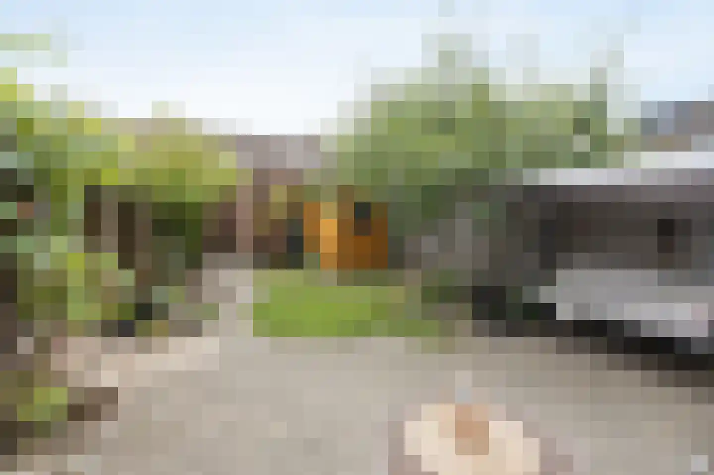 Meerkoet 29 Etten-Leur thumbnail 35