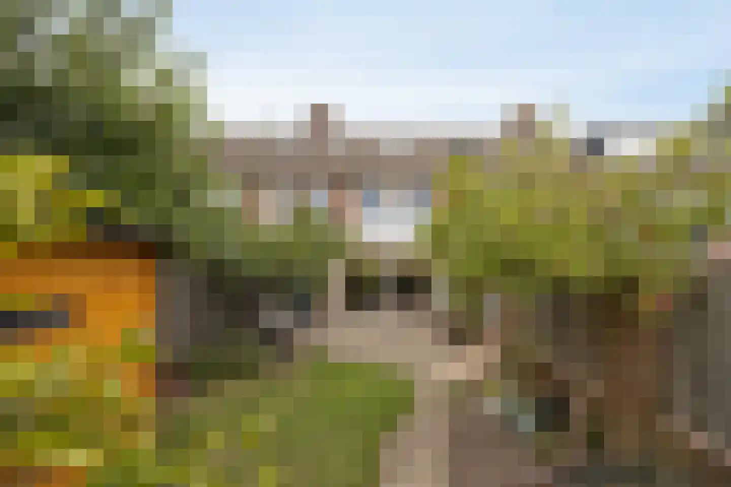 Meerkoet 29 Etten-Leur thumbnail 37