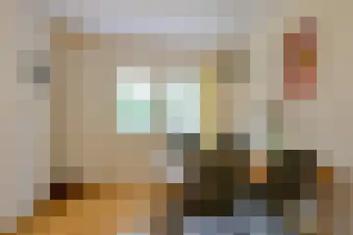 Meerkoet 30 Schagen thumbnail 12