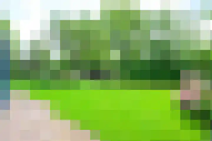 Meerkoet 30 Schagen thumbnail 16