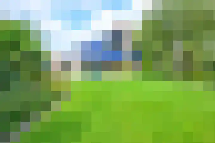 Meerkoet 30 Schagen thumbnail 17