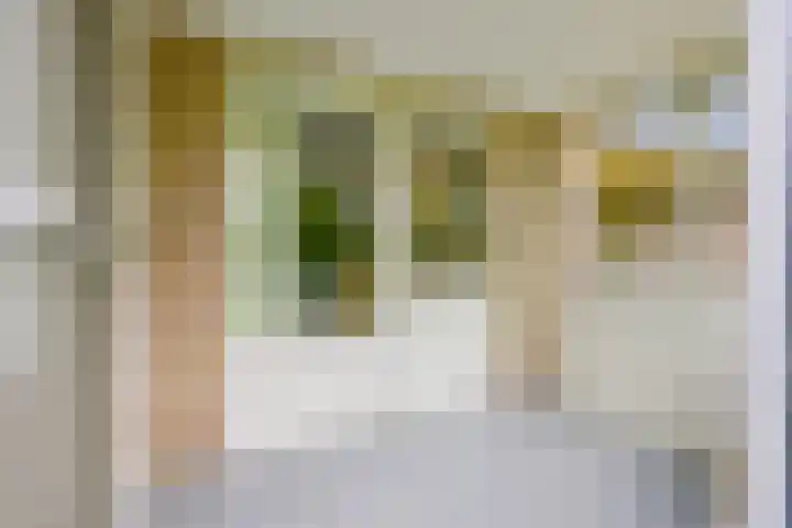 Meerkoet 30 Schagen thumbnail 24