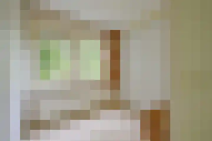 Meerkoet 30 Schagen thumbnail 35