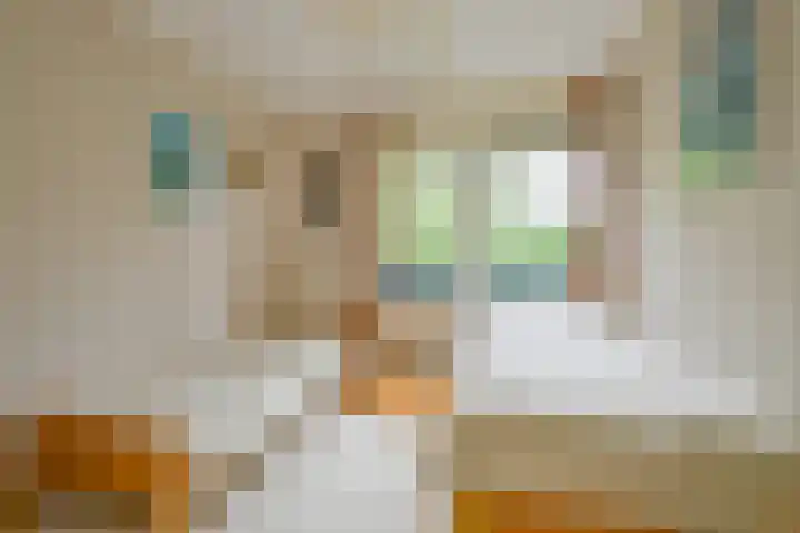 Meerkoet 30 Schagen thumbnail 36