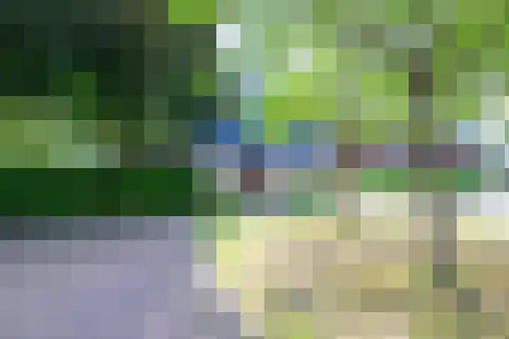 Meerkoet 30 Schagen thumbnail 40