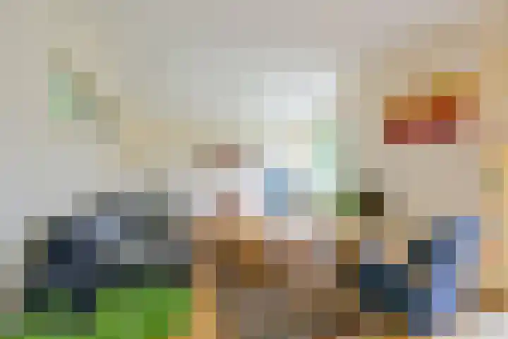 Meerkoet 30 Schagen thumbnail 5
