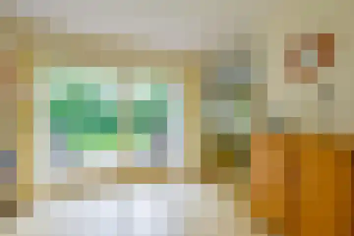Meerkoet 30 Schagen thumbnail 7