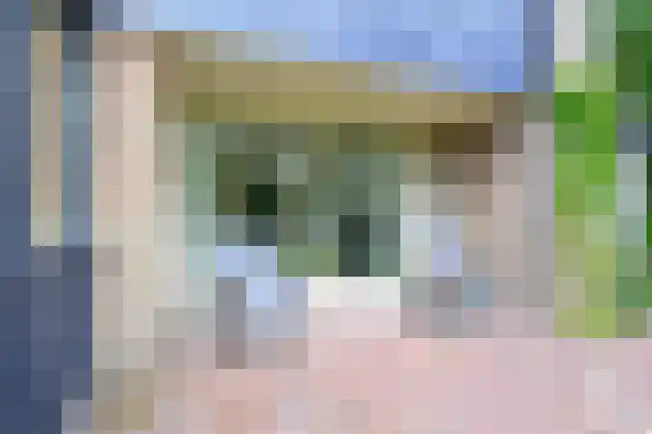 Meerkoet 30 Schagen thumbnail 8