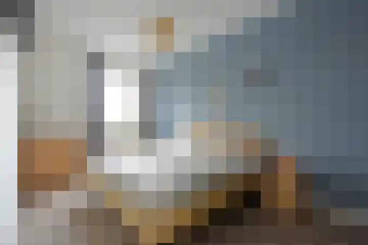 Meerkoet 31 Noorden thumbnail 12