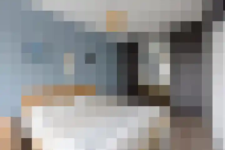 Meerkoet 31 Noorden thumbnail 13