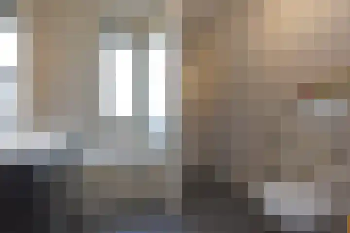 Meerkoet 31 Noorden thumbnail 16