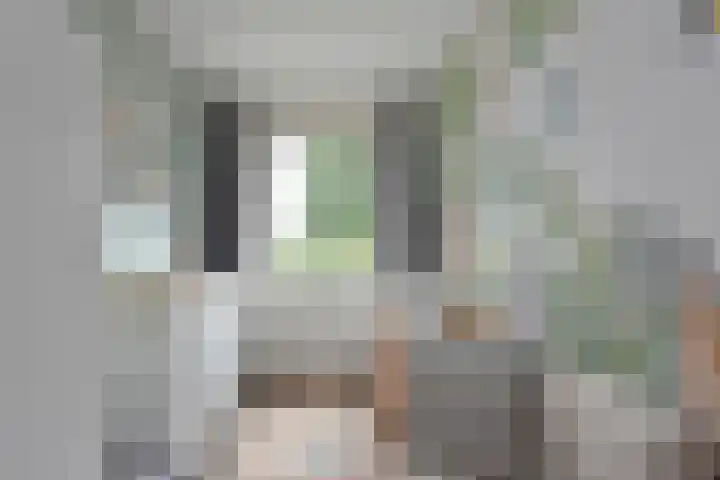 Meerkoet 31 Noorden thumbnail 20