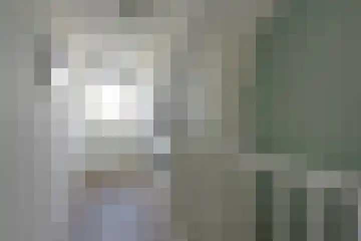 Meerkoet 31 Noorden thumbnail 23
