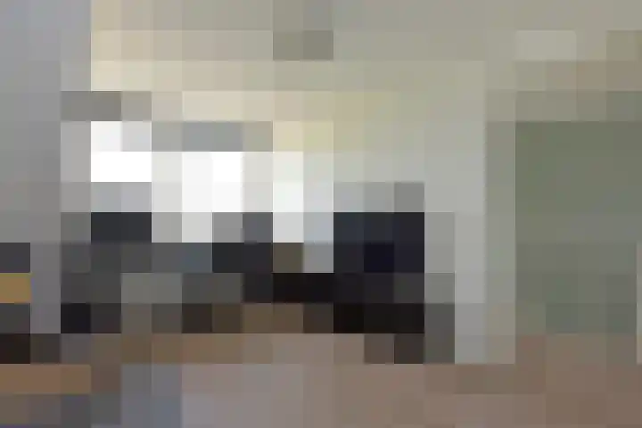 Meerkoet 31 Noorden thumbnail 25