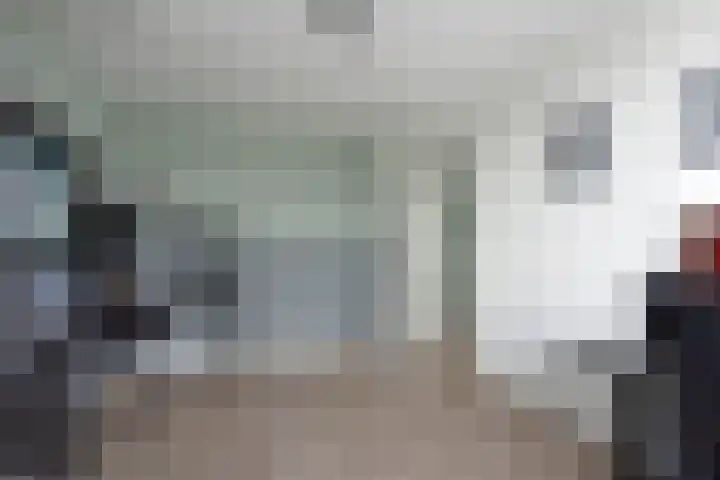 Meerkoet 31 Noorden thumbnail 28