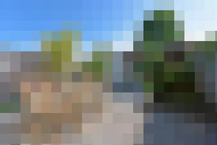 Meerkoet 31 Noorden thumbnail 31