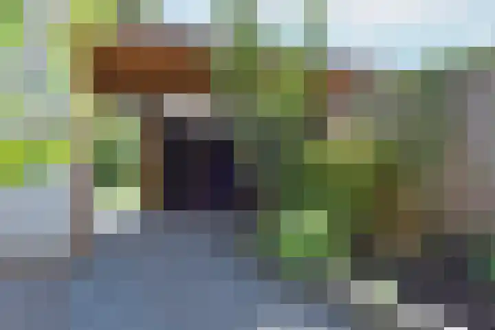 Meerkoet 31 Noorden thumbnail 32