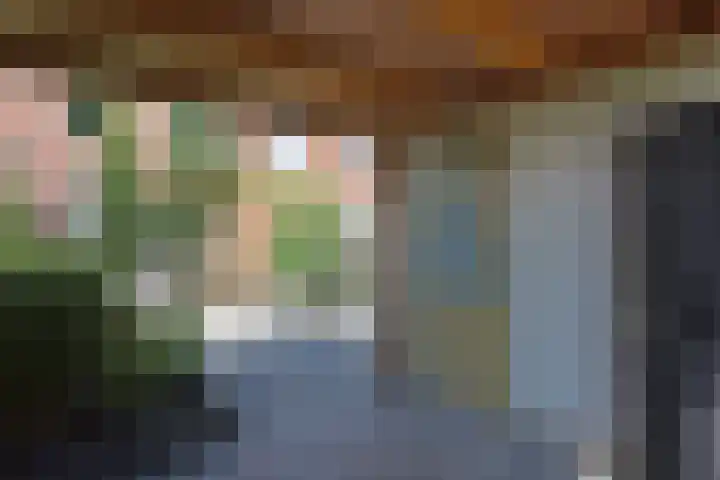 Meerkoet 31 Noorden thumbnail 33