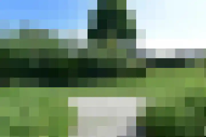 Meerkoet 31 Noorden thumbnail 34