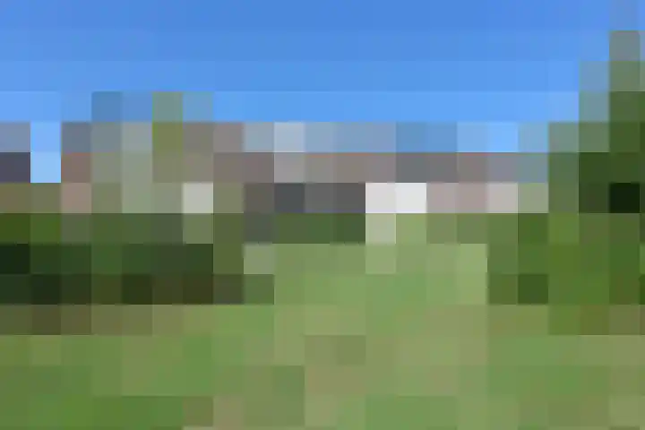 Meerkoet 31 Noorden thumbnail 35