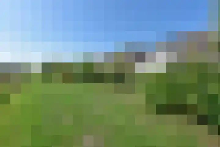 Meerkoet 31 Noorden thumbnail 36