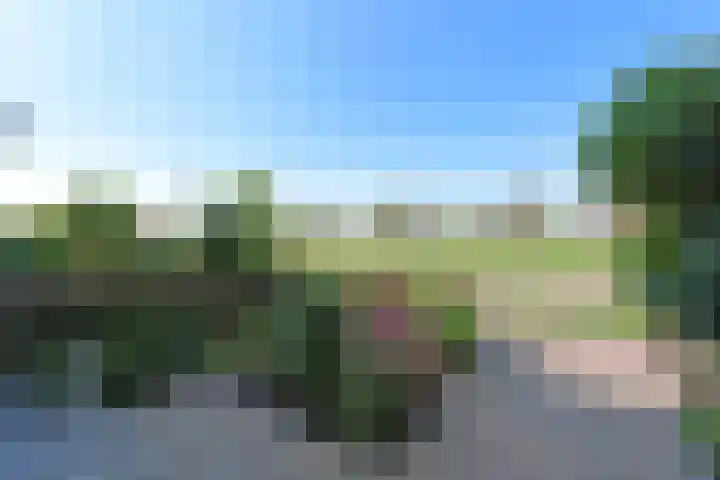 Meerkoet 31 Noorden thumbnail 37