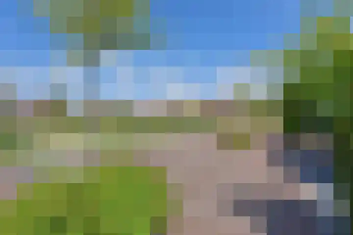 Meerkoet 31 Noorden thumbnail 38