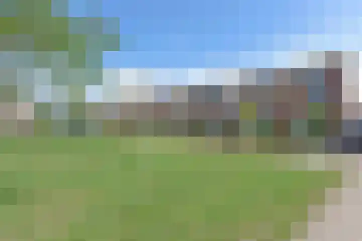 Meerkoet 31 Noorden thumbnail 39