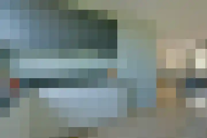 Meerkoet 31 Noorden thumbnail 4