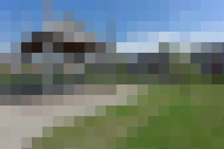 Meerkoet 31 Noorden thumbnail 40