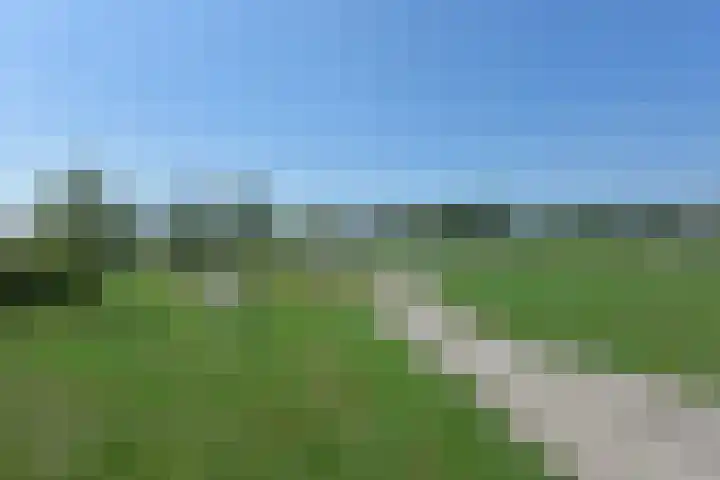 Meerkoet 31 Noorden thumbnail 41