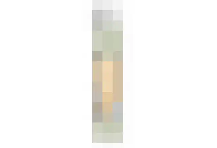 Meerkoet 31 Noorden thumbnail 48