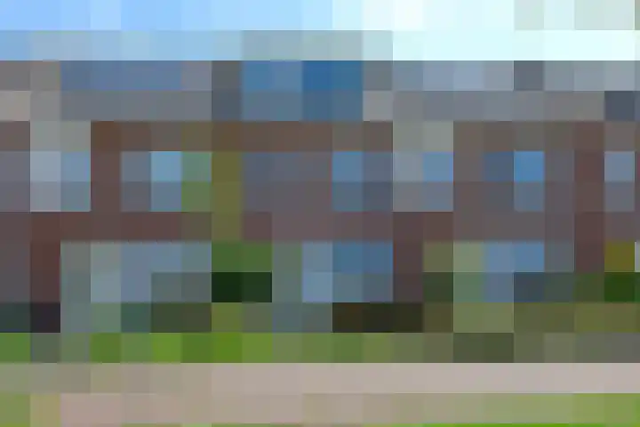 Meerkoet 31 Noorden thumbnail 50