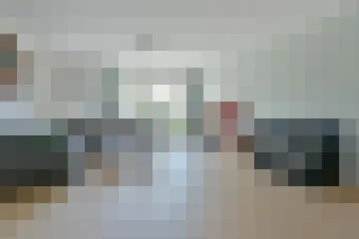 Meerkoet 31 Noorden thumbnail 6