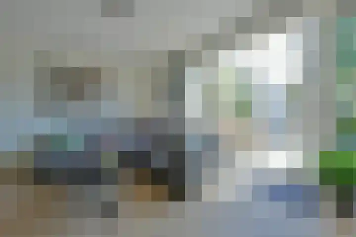 Meerkoet 31 Noorden thumbnail 7