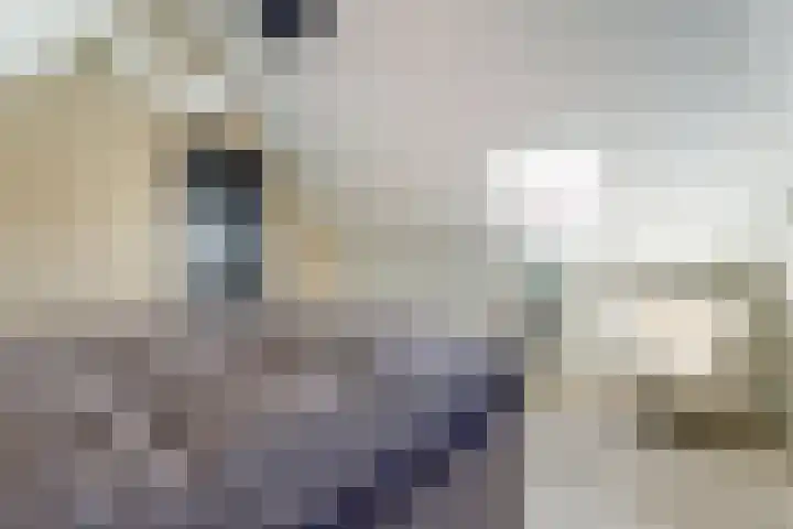 Meerkoet 32 Lathum thumbnail 20