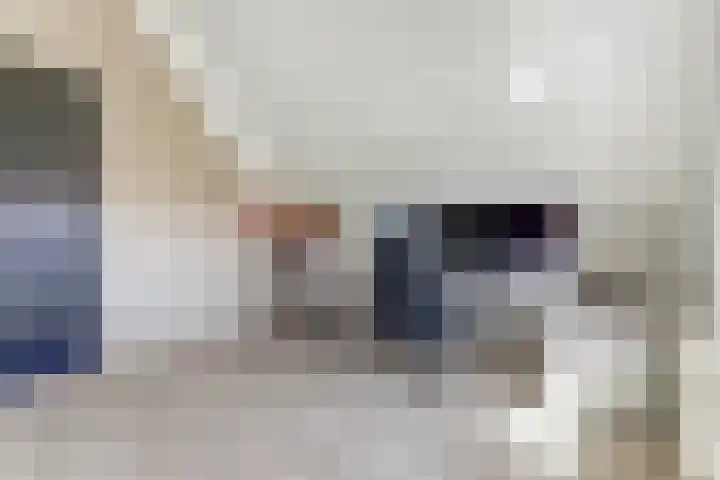 Meerkoet 32 Lathum thumbnail 22