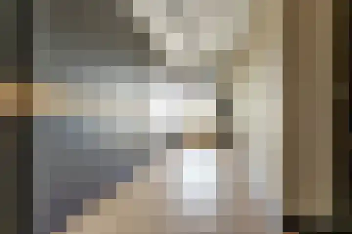 Meerkoet 32 Lathum thumbnail 27