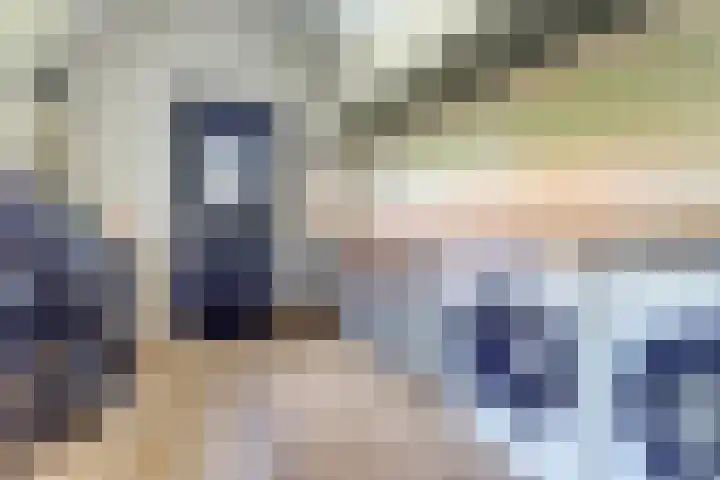 Meerkoet 32 Lathum thumbnail 32