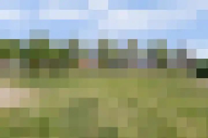 Meerkoet 32 Lathum thumbnail 57