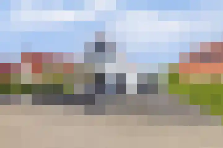Meerkoet 32 Lathum thumbnail 59