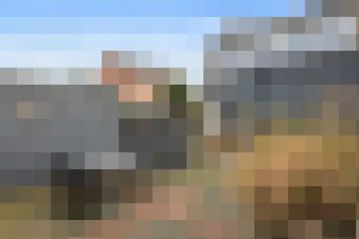 Meerkoet 32 Lathum thumbnail 7